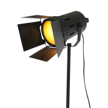 Steinhauer MEXLITE Staande lamp Zwart, 1-licht