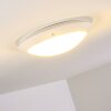 Grafton Buitenshuis plafond verlichting Wit, 2-lichts