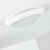 Grafton Buitenshuis plafond verlichting Wit, 2-lichts