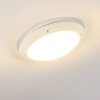 Grafton Buitenshuis plafond verlichting Wit, 2-lichts