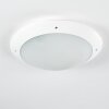 Grafton Buitenshuis plafond verlichting Wit, 2-lichts