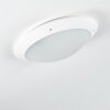 Grafton Buitenshuis plafond verlichting Wit, 2-lichts