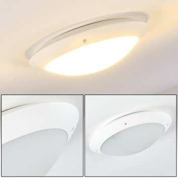 Grafton Buitenshuis plafond verlichting Wit, 2-lichts