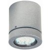 Albert 2140 Plafond opbouw verlichting Zilver, 1-licht