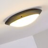 Grafton Buitenshuis plafond verlichting Antraciet, 2-lichts