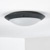 Grafton Buitenshuis plafond verlichting Antraciet, 2-lichts