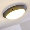 Grafton Buitenshuis plafond verlichting Antraciet, 2-lichts