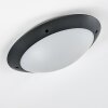 Grafton Buitenshuis plafond verlichting Antraciet, 2-lichts