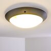 Grafton Buitenshuis plafond verlichting Antraciet, 2-lichts