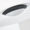 Grafton Buitenshuis plafond verlichting Antraciet, 2-lichts