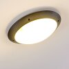 Grafton Buitenshuis plafond verlichting Antraciet, 2-lichts