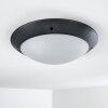 Grafton Buitenshuis plafond verlichting Antraciet, 2-lichts