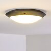 Grafton Buitenshuis plafond verlichting Antraciet, 2-lichts