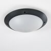 Grafton Buitenshuis plafond verlichting Antraciet, 2-lichts