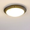 Grafton Buitenshuis plafond verlichting Antraciet, 2-lichts