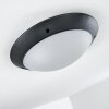 Grafton Buitenshuis plafond verlichting Antraciet, 2-lichts