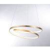 Paul Neuhaus ROMAN Hanglamp LED Goud, 1-licht