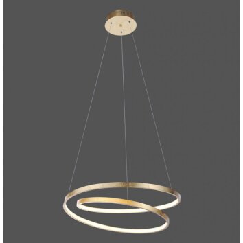 Paul Neuhaus ROMAN Hanglamp LED Goud, 1-licht