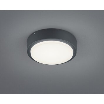 Trio BREG Buitenshuis plafond verlichting LED Antraciet, 1-licht