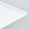 Bankura Plafondlamp LED Wit, 1-licht, Afstandsbediening