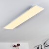 Bankura Plafondlamp LED Wit, 1-licht, Afstandsbediening