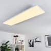 Bankura Plafondlamp LED Wit, 1-licht, Afstandsbediening