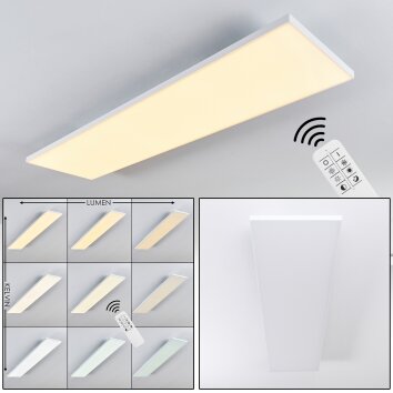 Bankura Plafondlamp LED Wit, 1-licht, Afstandsbediening