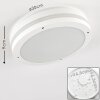 Wollongong Buitenshuis plafond verlichting LED Wit, 1-licht