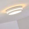 Wollongong Buitenshuis plafond verlichting LED Wit, 1-licht