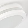 Wollongong Buitenshuis plafond verlichting LED Wit, 1-licht