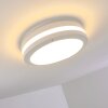 Wollongong Buitenshuis plafond verlichting LED Wit, 1-licht