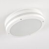 Wollongong Buitenshuis plafond verlichting LED Wit, 1-licht