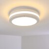 Wollongong Buitenshuis plafond verlichting LED Wit, 1-licht