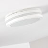 Wollongong Buitenshuis plafond verlichting LED Wit, 1-licht