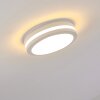 Wollongong Buitenshuis plafond verlichting LED Wit, 1-licht