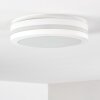 Wollongong Buitenshuis plafond verlichting LED Wit, 1-licht