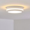 Wollongong Buitenshuis plafond verlichting LED Wit, 1-licht