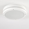 Wollongong Buitenshuis plafond verlichting LED Wit, 1-licht