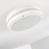 Wollongong Buitenshuis plafond verlichting LED Wit, 1-licht