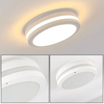 Wollongong Buitenshuis plafond verlichting LED Wit, 1-licht