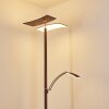 Lasona Staande lamp LED Bruin, Zilver, 2-lichts