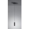 Trio MARLEY Hanglamp Zwart, 1-licht