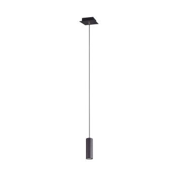 Trio MARLEY Hanglamp Zwart, 1-licht