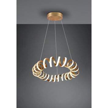 Trio Curl Hanglamp LED Goud, 1-licht