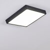 Kragos Plafondlamp LED Zwart, Wit, 1-licht