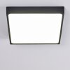 Kragos Plafondlamp LED Zwart, Wit, 1-licht