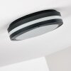 Wollongong Buitenshuis plafond verlichting LED Antraciet, 1-licht