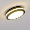 Wollongong Buitenshuis plafond verlichting LED Antraciet, 1-licht