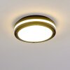 Wollongong Buitenshuis plafond verlichting LED Antraciet, 1-licht