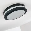 Wollongong Buitenshuis plafond verlichting LED Antraciet, 1-licht